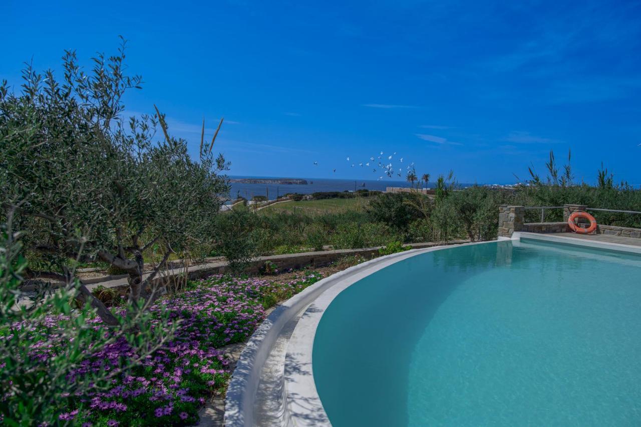 Anthemion Paros - Villas & Suites Agia Irini  Exterior foto