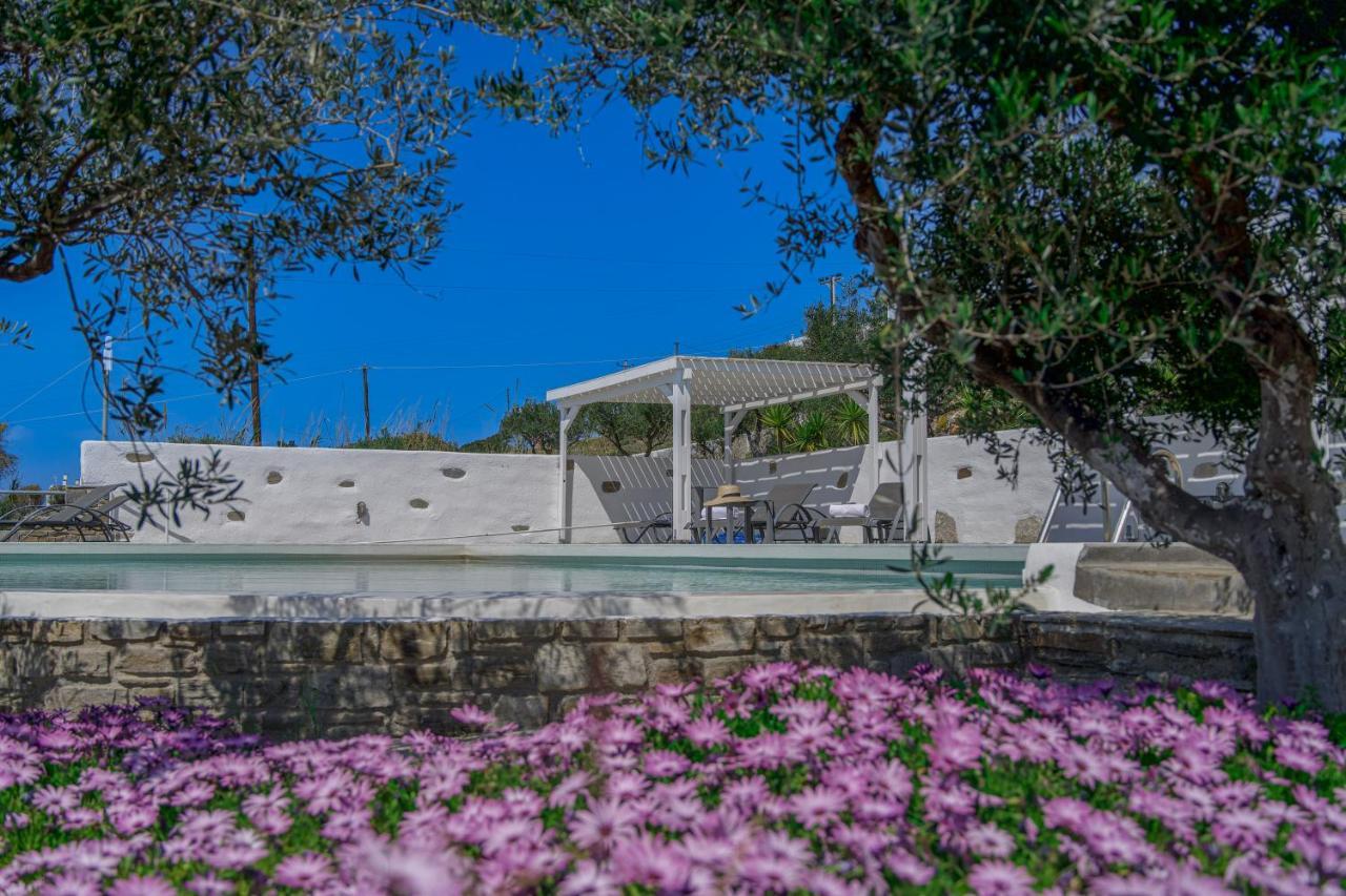 Anthemion Paros - Villas & Suites Agia Irini  Exterior foto